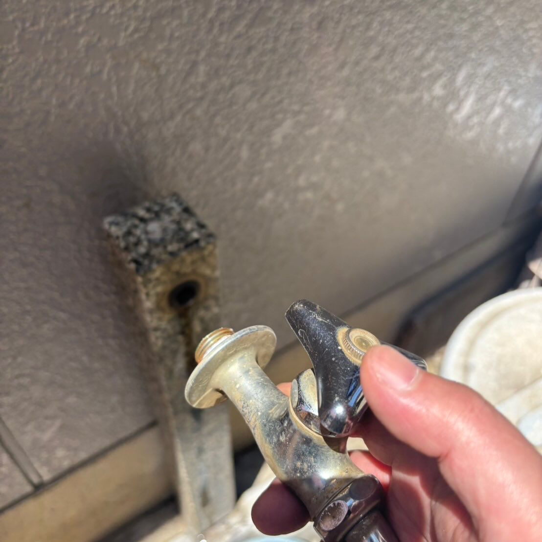 【蛇口が折れた！？😱】